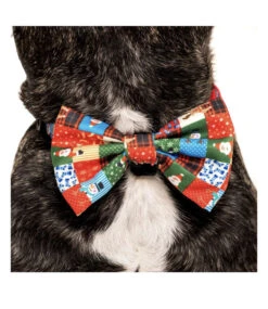 Big And Little Dogs Big And Little Dogs Halsband Silly Season ( XS & M ) -Hondenmode big and little dogs halsband silly season xs m 3