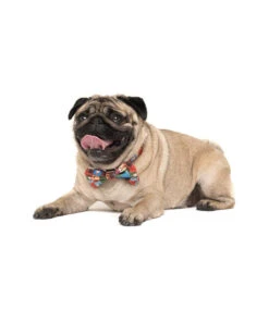 Big And Little Dogs Big And Little Dogs Halsband Silly Season ( XS & M ) -Hondenmode big and little dogs halsband silly season xs m 8