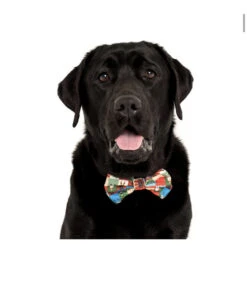 Big And Little Dogs Big And Little Dogs Halsband Silly Season ( XS & M ) -Hondenmode big and little dogs halsband silly season xs m 9