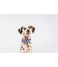 Big And Little Dogs Big And & Little Dogs Halsband Tropical Paradise -Hondenmode big and little dogs halsband tropical paradise 2