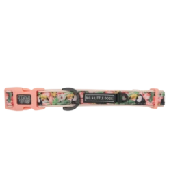 Big And Little Dogs Big And Little Dogs Halsband Troppo Toucan ( SMALL) -Hondenmode big and little dogs halsband troppo toucan small 1