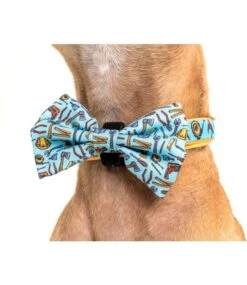 Big And Little Dogs Big And Little Dogs Halsband Under Construction ( MEDIUM ) -Hondenmode big and little dogs halsband under construction me 4