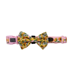 Big And Little Dogs Big And Little Dogs Halsband You Are My Sunshine ( S & M )