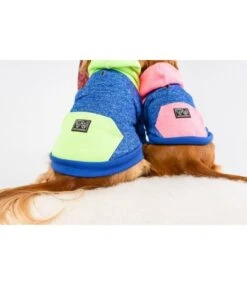 Big And Little Dogs Big And & Little Dogs Hoody Jumper Active Pup Neon Lime Hondentrui -Hondenmode big and little dogs hoody jumper active pup neon l 1