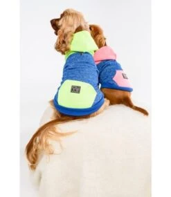 Big And Little Dogs Big And & Little Dogs Hoody Jumper Active Pup Neon Lime Hondentrui -Hondenmode big and little dogs hoody jumper active pup neon l 2