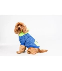 Big And Little Dogs Big And & Little Dogs Hoody Jumper Active Pup Neon Lime Hondentrui -Hondenmode big and little dogs hoody jumper active pup neon l 4
