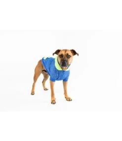 Big And Little Dogs Big And & Little Dogs Hoody Jumper Active Pup Neon Lime Hondentrui -Hondenmode big and little dogs hoody jumper active pup neon l 5