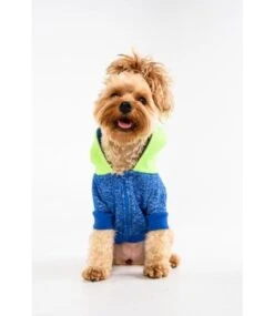 Big And Little Dogs Big And & Little Dogs Hoody Jumper Active Pup Neon Lime Hondentrui -Hondenmode big and little dogs hoody jumper active pup neon l 6