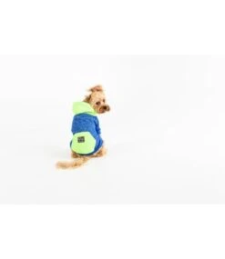 Big And Little Dogs Big And & Little Dogs Hoody Jumper Active Pup Neon Lime Hondentrui -Hondenmode big and little dogs hoody jumper active pup neon l 7