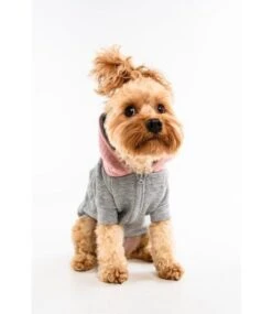 Big And Little Dogs Big And & Little Dogs Hoody Jumper Quilted Blush Hondentrui 12 Big And Little Dogs Big And & Little Dogs Hoody Jumper Quilted Blush Hondentrui -Hondenmode big and little dogs hoody jumper quilted blush hon 4