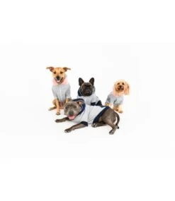 Big And Little Dogs Big And & Little Dogs Hoody Jumper Quilted Navy Hondentrui -Hondenmode big and little dogs hoody jumper quilted navy hond 3
