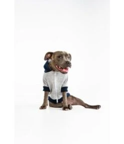 Big And Little Dogs Big And & Little Dogs Hoody Jumper Quilted Navy Hondentrui -Hondenmode big and little dogs hoody jumper quilted navy hond 4
