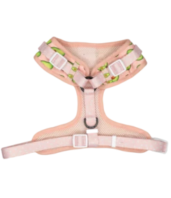 Big And Little Dogs Big And Little Dogs Let's Avo Cuddle -Hondenmode big and little dogs lets avo cuddle 2