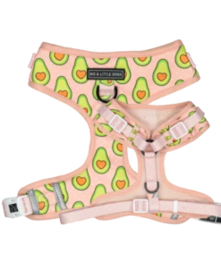 Big And Little Dogs Big And Little Dogs Let's Avo Cuddle