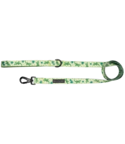 Big And Little Dogs Big And Little Dogs Lijn Crikey Croc