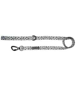 Big And Little Dogs Big And Little Dogs Lijn Grey Leopard