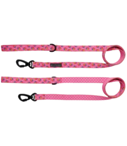 Big And Little Dogs Big And Little Dogs Lijn Having A Ball