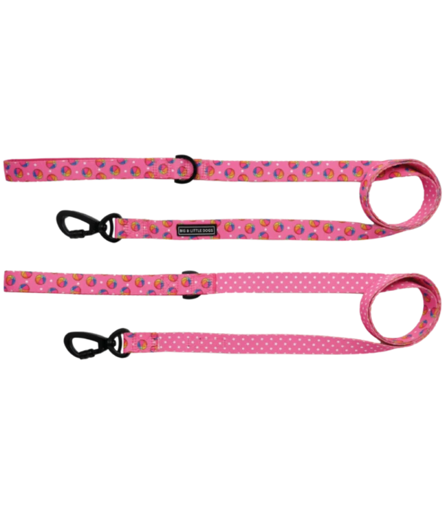 Big And Little Dogs Big And Little Dogs Lijn Having A Ball 3 Big And Little Dogs Big And Little Dogs Lijn Having A Ball