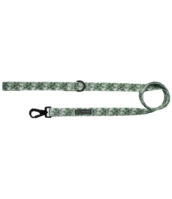 Big And Little Dogs Big And Little Dogs Lijn Lost In Paradise