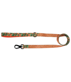 Big And Little Dogs Big And Little Dogs Lijn Paw-Paw-Pawesome -Hondenmode big and little dogs lijn paw paw pawesome 1