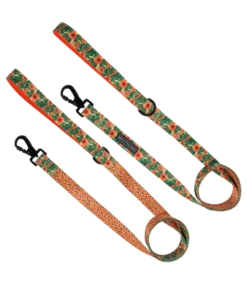 Big And Little Dogs Big And Little Dogs Lijn Paw-Paw-Pawesome -Hondenmode big and little dogs lijn paw paw pawesome 2