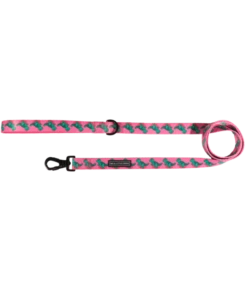 Big And Little Dogs Big And Little Dogs Lijn Princess-asaurus