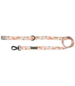 Big And Little Dogs Big And Little Dogs Lijn Rainbow Dreams