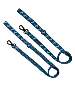 Big And Little Dogs Big And Little Dogs Lijn Rex-asaurus 7 Big And Little Dogs Big And Little Dogs Lijn Rex-asaurus -Hondenmode big and little dogs lijn rex asaurus 2