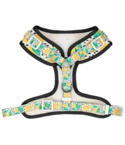 Big And Little Dogs Big And Little Dogs Main Squeeze -Hondenmode big and little dogs main squeeze 2