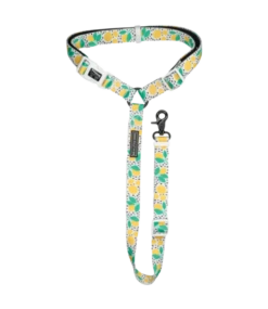 Big And Little Dogs Big And Little Dogs Premium Autogordel Main Squeeze