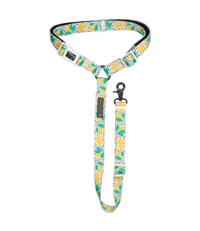 Big And Little Dogs Big And Little Dogs Premium Autogordel Main Squeeze 3 Big And Little Dogs Big And Little Dogs Premium Autogordel Main Squeeze