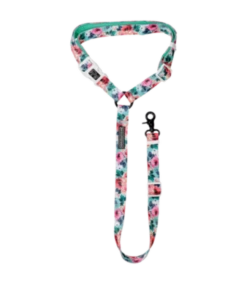 Big And Little Dogs Big And Little Dogs Premium Autogordel Perfect Petals