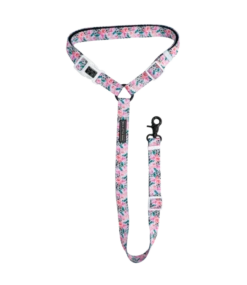 Big And Little Dogs Big And Little Dogs Premium Autogordel Pretty As A Peony