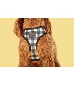 Big And Little Dogs Big And Little Dogs Reversible Harness Sunny Vibes -Hondenmode big and little dogs reversible harness sunny vibes 3