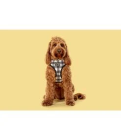 Big And Little Dogs Big And Little Dogs Reversible Harness Sunny Vibes -Hondenmode big and little dogs reversible harness sunny vibes 5