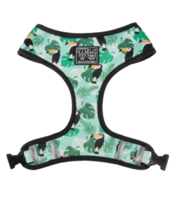 Big And Little Dogs Big And Little Dogs Reversible Harness Toucan Do It -Hondenmode big and little dogs reversible harness toucan do i 1