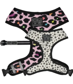 Big And Little Dogs Big And Little Dogs Reversible Spotted Leopard