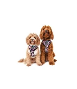 Big And Little Dogs Big And Little Dogs Reversible Spotted Leopard -Hondenmode big and little dogs reversible spotted leopard 4