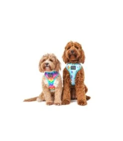 Big And Little Dogs Big And Little Dogs Reversible Up, Up And Away -Hondenmode big and little dogs reversible up up and away 3