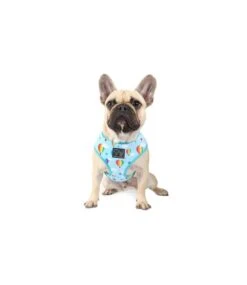 Big And Little Dogs Big And Little Dogs Reversible Up, Up And Away -Hondenmode big and little dogs reversible up up and away 4