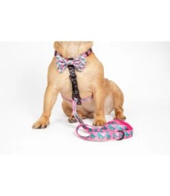 Big And Little Dogs Big And Little Dogs Strap Harness Princess-asaurus 11 Big And Little Dogs Big And Little Dogs Strap Harness Princess-asaurus -Hondenmode big and little dogs strap harness princess asaurus 2