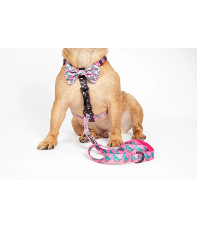 Big And Little Dogs Big And Little Dogs Strap Harness Princess-asaurus 7 Big And Little Dogs Big And Little Dogs Strap Harness Princess-asaurus - Afbeelding 5