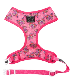 Big And Little Dogs Big & Little Dogs Classic Harness Flutterly Fab ( XSMALL, XLARGE & XXLARGE )