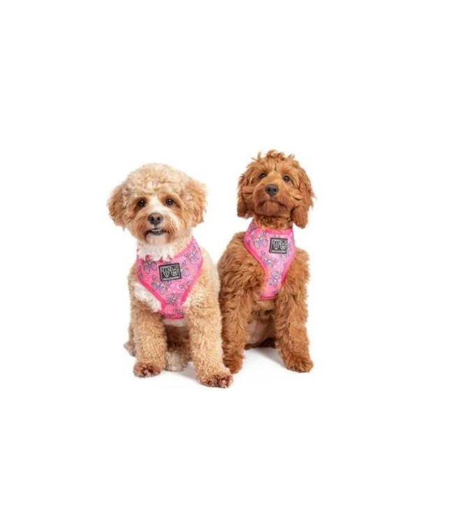 Big And Little Dogs Big & Little Dogs Classic Harness Flutterly Fab ( XSMALL, XLARGE & XXLARGE ) 7 Big And Little Dogs Big & Little Dogs Classic Harness Flutterly Fab ( XSMALL, XLARGE & XXLARGE ) - Afbeelding 5