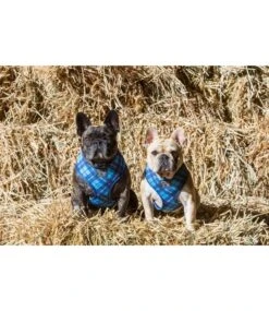Big And Little Dogs Big & Little Dogs Classic Harness His Plaid -Hondenmode big little dogs classic harness his plaid 2