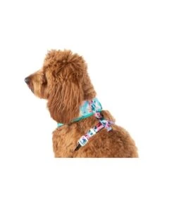Big And Little Dogs Big & Little Dogs Classic Harness Perfect Petals -Hondenmode big little dogs classic harness perfect petals 1