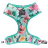 Big And Little Dogs Big & Little Dogs Classic Harness Perfect Petals