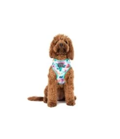 Big And Little Dogs Big & Little Dogs Classic Harness Perfect Petals -Hondenmode big little dogs classic harness perfect petals 2