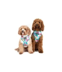 Big And Little Dogs Big & Little Dogs Classic Harness Perfect Petals -Hondenmode big little dogs classic harness perfect petals 3