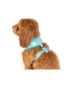 Big And Little Dogs Big & Little Dogs Classic Harness Slothin' Around -Hondenmode big little dogs classic harness slothin around 1